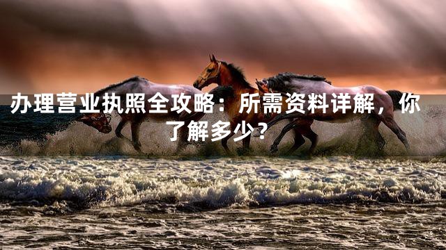 办理营业执照全攻略：所需资料详解，你了解多少？