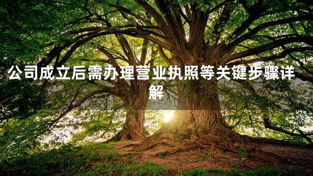 公司成立后需办理营业执照等关键步骤详解