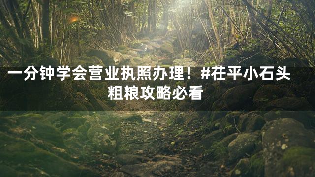 一分钟学会营业执照办理！#茌平小石头粗粮攻略必看