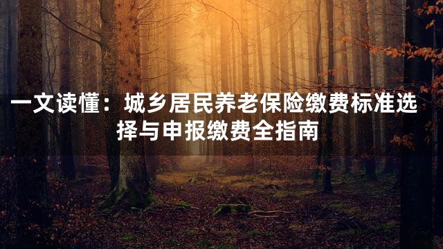 一文读懂：城乡居民养老保险缴费标准选择与申报缴费全指南