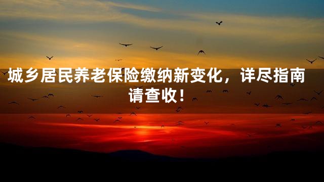 城乡居民养老保险缴纳新变化，详尽指南请查收！