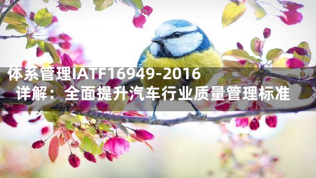 体系管理IATF16949-2016详解：全面提升汽车行业质量管理标准