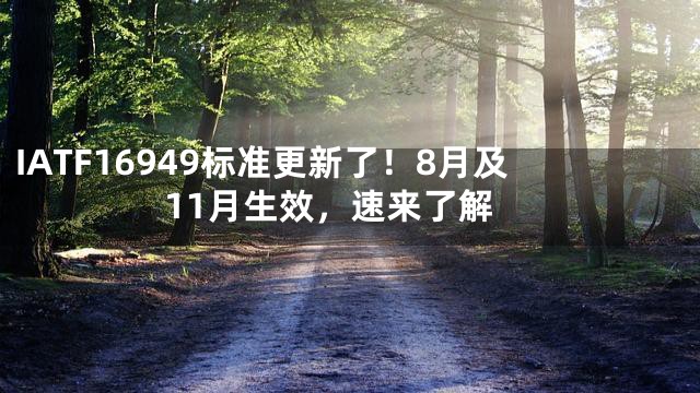 IATF16949标准更新了！8月及11月生效，速来了解