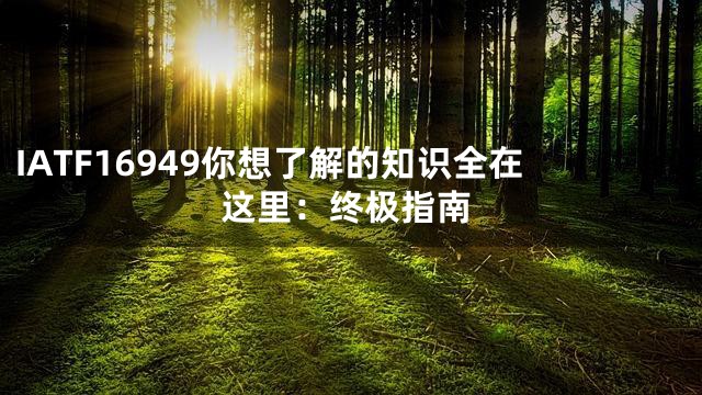 IATF16949你想了解的知识全在这里：终极指南