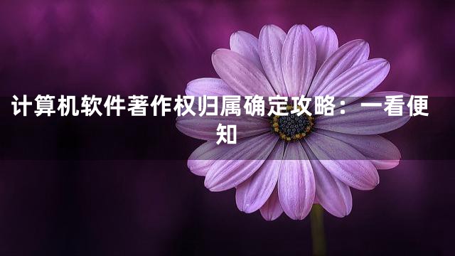 计算机软件著作权归属确定攻略：一看便知