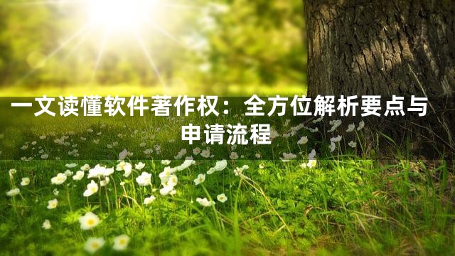 一文读懂软件著作权：全方位解析要点与申请流程