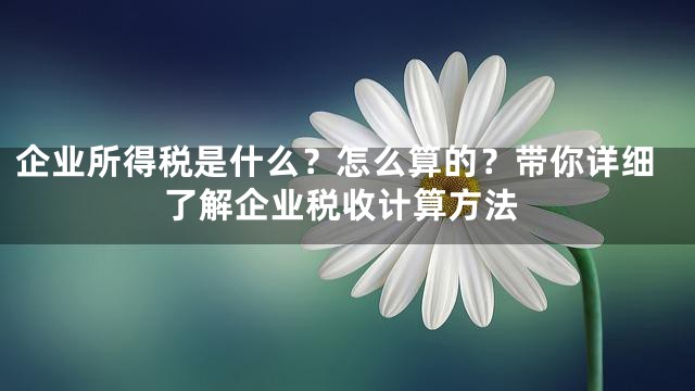 企业所得税是什么？怎么算的？带你详细了解企业税收计算方法