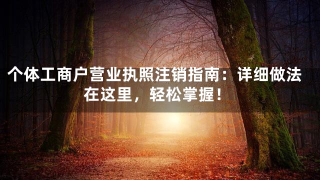 个体工商户营业执照注销指南：详细做法在这里，轻松掌握！