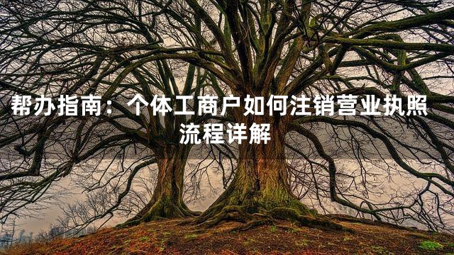 帮办指南：个体工商户如何注销营业执照流程详解