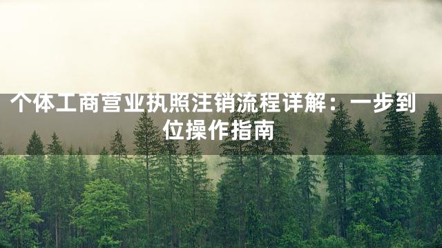 个体工商营业执照注销流程详解：一步到位操作指南