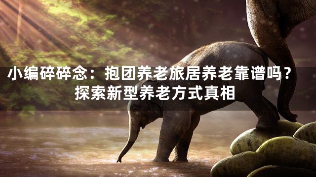 小编碎碎念：抱团养老旅居养老靠谱吗？探索新型养老方式真相