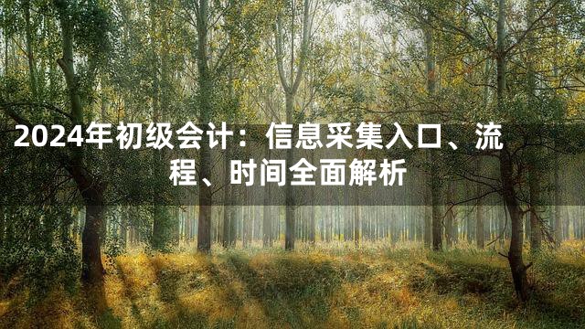 2024年初级会计：信息采集入口、流程、时间全面解析