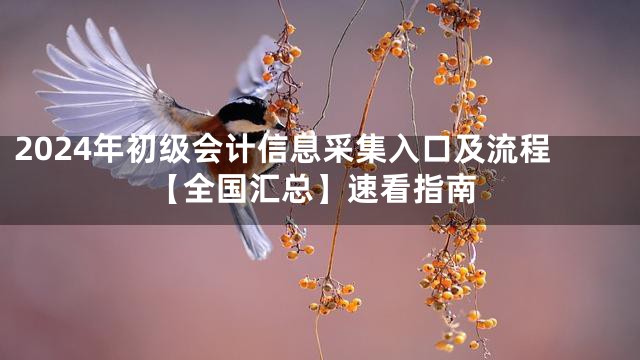 2024年初级会计信息采集入口及流程【全国汇总】速看指南