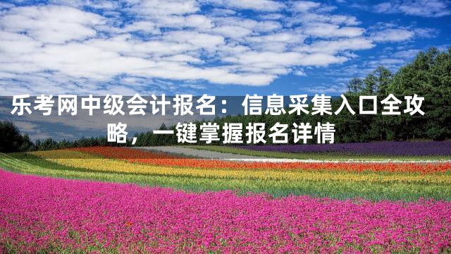 乐考网中级会计报名：信息采集入口全攻略，一键掌握报名详情