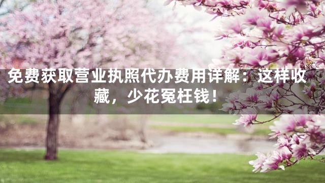 免费获取营业执照代办费用详解：这样收藏，少花冤枉钱！