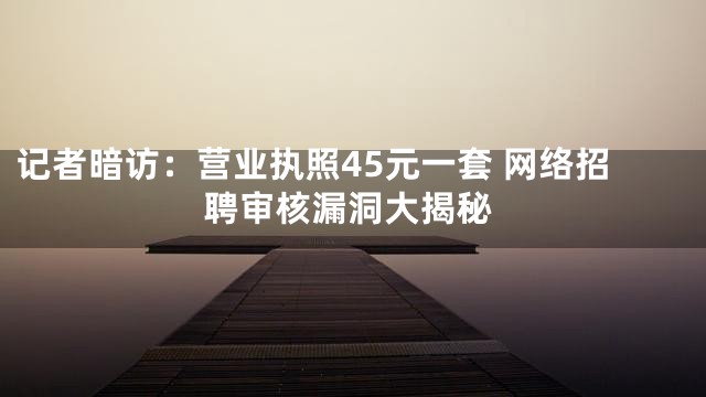 记者暗访：营业执照45元一套 网络招聘审核漏洞大揭秘