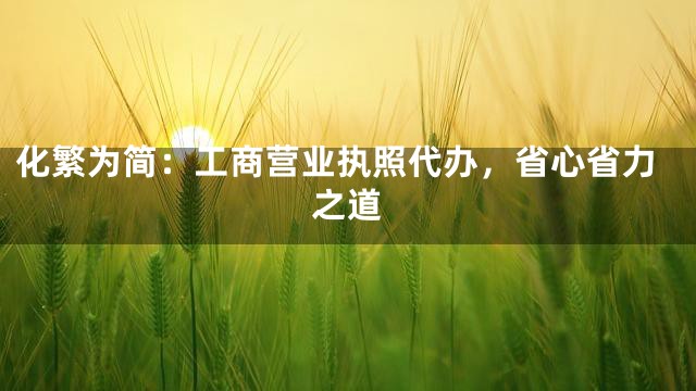 化繁为简：工商营业执照代办，省心省力之道