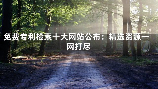 免费专利检索十大网站公布：精选资源一网打尽