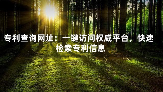 专利查询网址：一键访问权威平台，快速检索专利信息