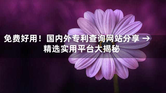 免费好用！国内外专利查询网站分享 →精选实用平台大揭秘