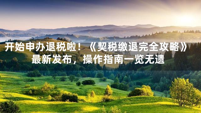 开始申办退税啦！《契税缴退完全攻略》最新发布，操作指南一览无遗