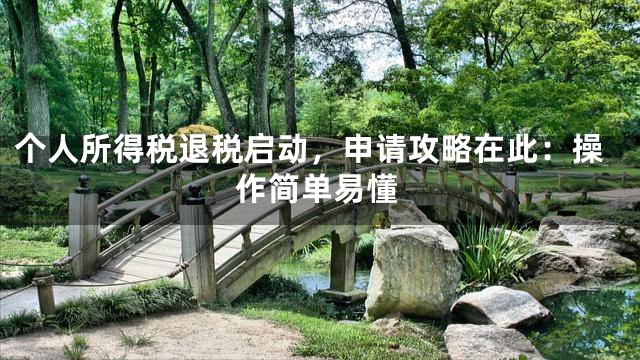 个人所得税退税启动，申请攻略在此：操作简单易懂