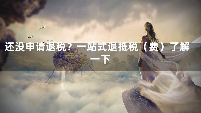 还没申请退税？一站式退抵税（费）了解一下