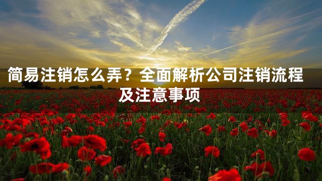 简易注销怎么弄？全面解析公司注销流程及注意事项