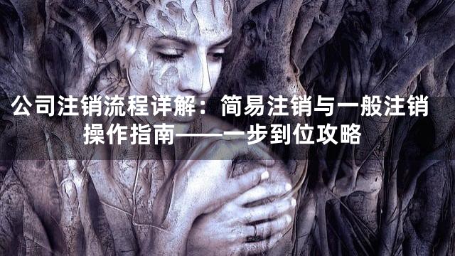 公司注销流程详解：简易注销与一般注销操作指南——一步到位攻略