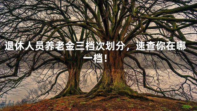 退休人员养老金三档次划分，速查你在哪一档！