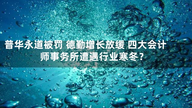 普华永道被罚 德勤增长放缓 四大会计师事务所遭遇行业寒冬？