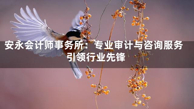 安永会计师事务所：专业审计与咨询服务引领行业先锋