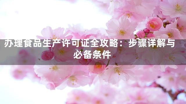 办理食品生产许可证全攻略：步骤详解与必备条件