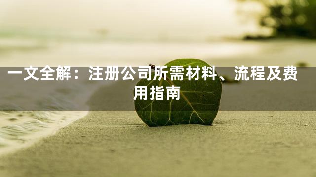 一文全解：注册公司所需材料、流程及费用指南