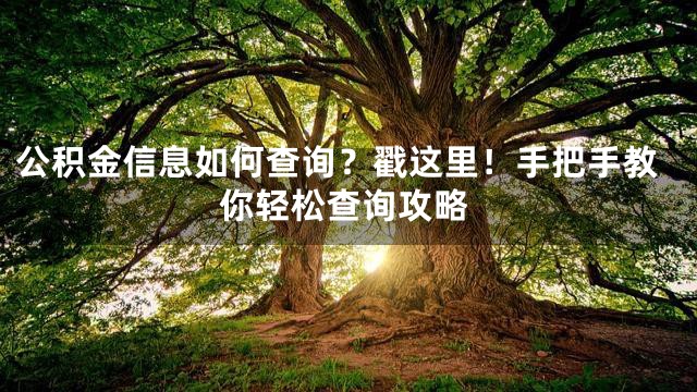 公积金信息如何查询？戳这里！手把手教你轻松查询攻略