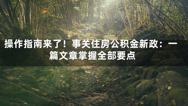 操作指南来了！事关住房公积金新政：一篇文章掌握全部要点