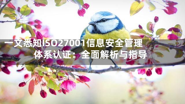 一文悉知ISO27001信息安全管理体系认证：全面解析与指导