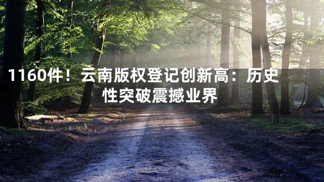 1160件！云南版权登记创新高：历史性突破震撼业界