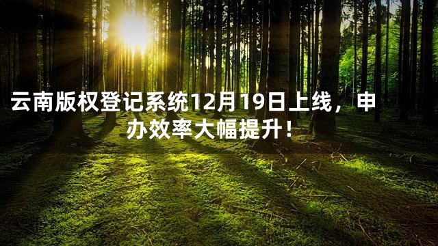 云南版权登记系统12月19日上线，申办效率大幅提升！