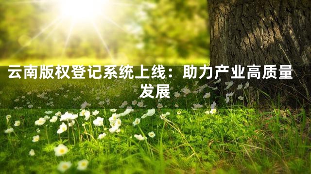 云南版权登记系统上线：助力产业高质量发展
