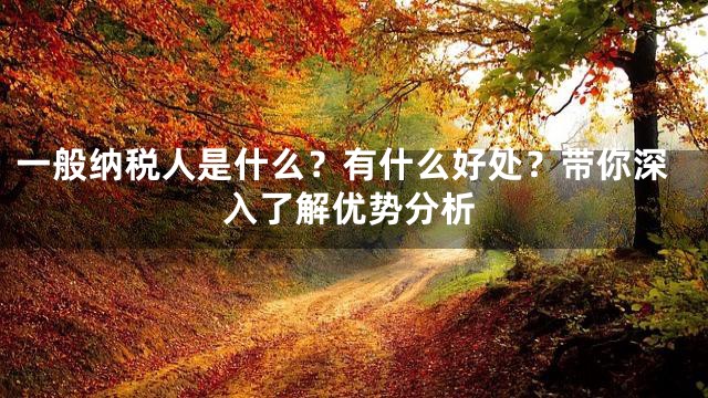 一般纳税人是什么？有什么好处？带你深入了解优势分析