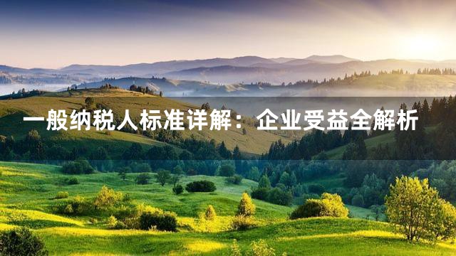 一般纳税人标准详解：企业受益全解析
