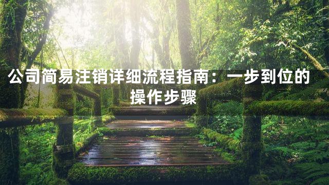 公司简易注销详细流程指南：一步到位的操作步骤