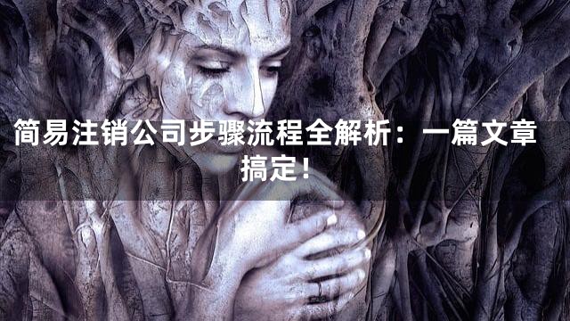 简易注销公司步骤流程全解析：一篇文章搞定！
