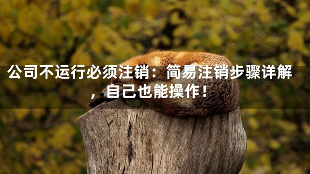 公司不运行必须注销：简易注销步骤详解，自己也能操作！