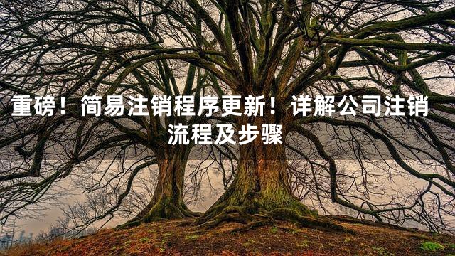 重磅！简易注销程序更新！详解公司注销流程及步骤