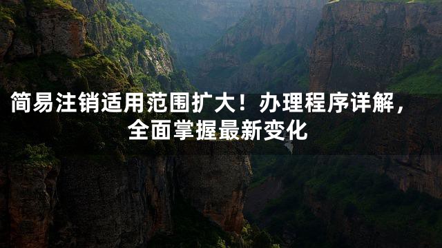 简易注销适用范围扩大！办理程序详解，全面掌握最新变化