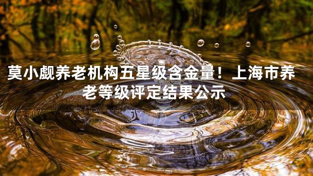 莫小觑养老机构五星级含金量！上海市养老等级评定结果公示
