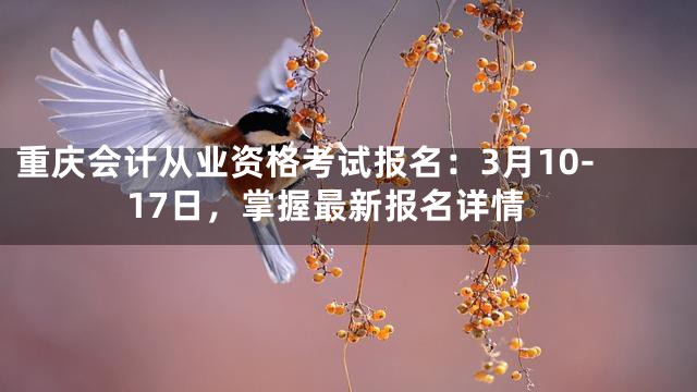 重庆会计从业资格考试报名：3月10-17日，掌握最新报名详情
