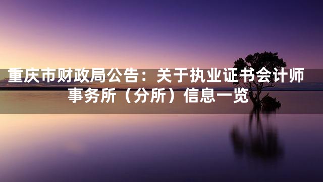 重庆市财政局公告：关于执业证书会计师事务所（分所）信息一览